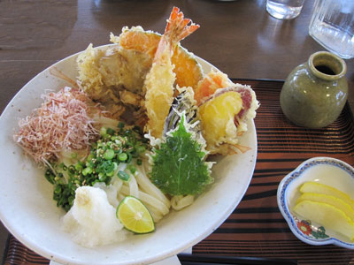 大海老野菜天ぶっかけ