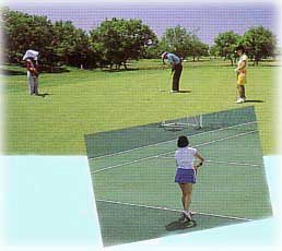 ゴルフ・テニス